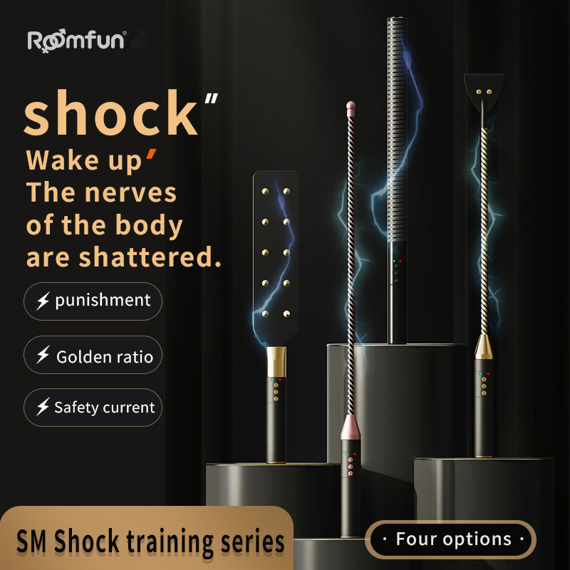 Roomfun Electric Shock BDSM Crop, Paddle, Cane & Stick Set-1