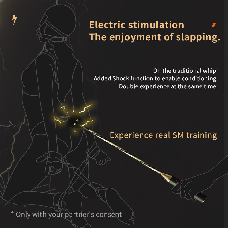 Roomfun Electric Shock BDSM Crop, Paddle, Cane & Stick Set-2